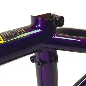 Рама 21 Рама Total Hangover H4