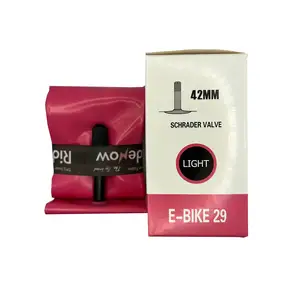 Камера 24" RideNow